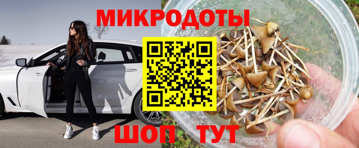 Псилоцибиновые грибы Psilocybine cubensis Ступино